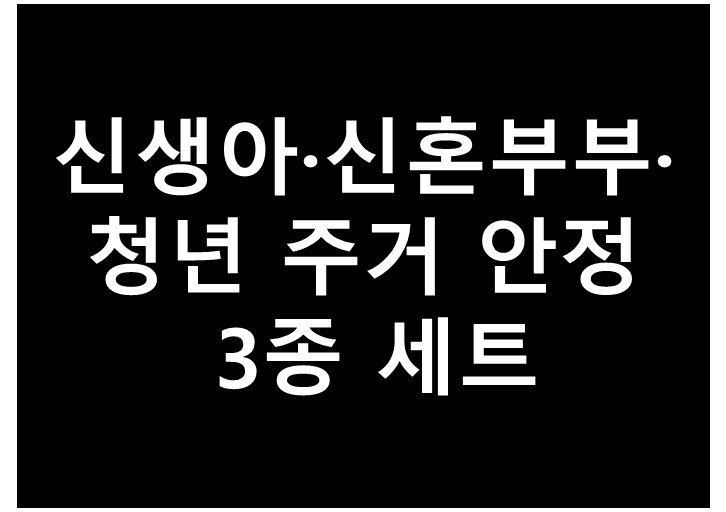 신생아 가구·신혼부부·청년세대 주거 안정 3종 세트